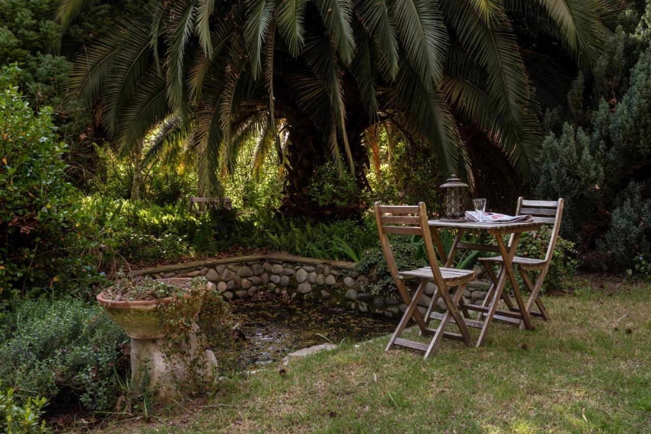 Cruz De Triana Bed and Breakfast Rancagua Buitenkant foto